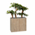 plantes genexo Promoburo Angouleme Bordeaux CHARENTE MARITIME