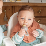 Grignoteuse alimentaire diversification alimentaire bébé tétine pour fruits ou légumes soina