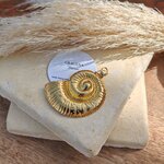escargot