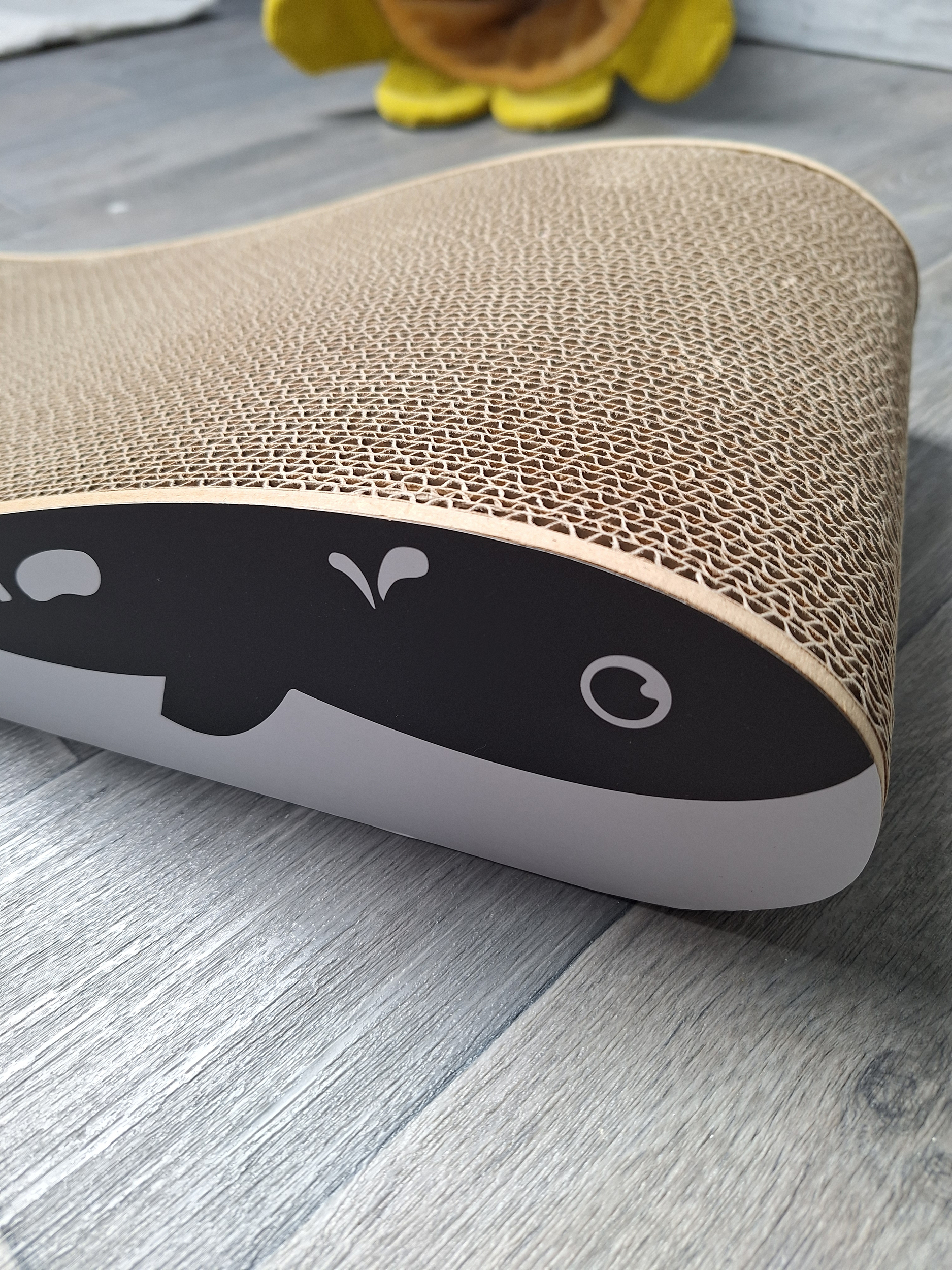 20250203_112811