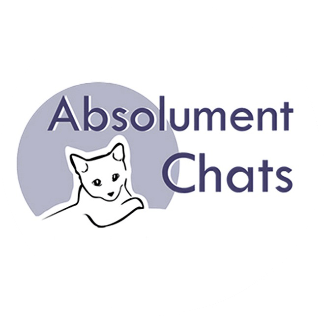 logo footer