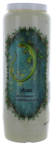 65318-animal-totem-lezard