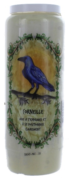 65316-animal-totem-corneille