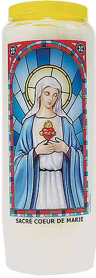 Neuvaine Sacré Coeur de Marie