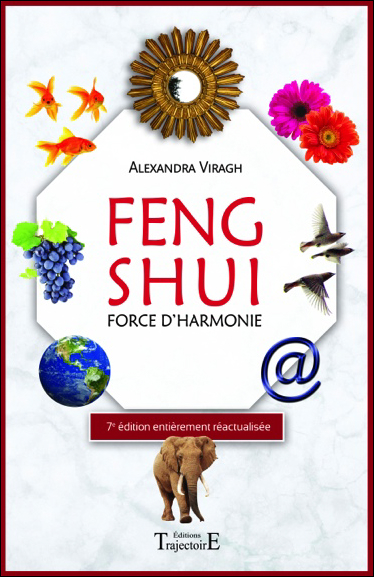 41928-feng-shui-force-d-harmonie