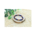 70033.2-Bracelet Lapis Lazuli et Rudraksha