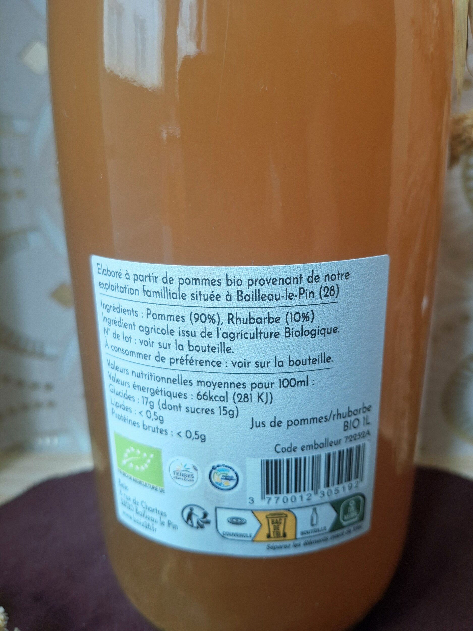 Rhubarbe