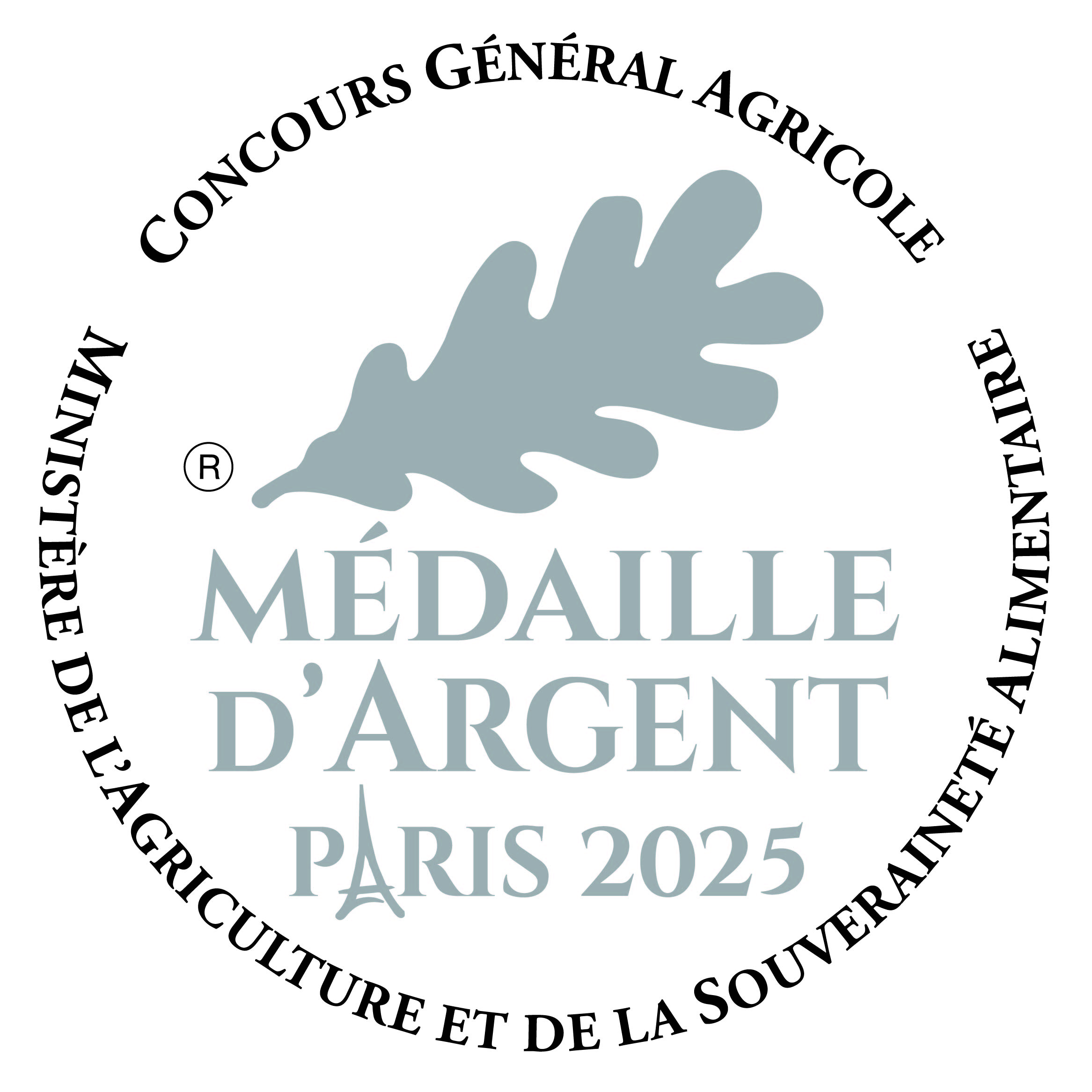 medaille argent ai 2025