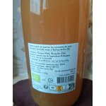 Rhubarbe
