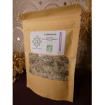 P1010075