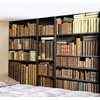 Wall Tapestry Imitation | Old Books Library