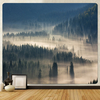 Misty Canadian Forest