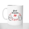 mug-blanc-brillant-personnalisé-tasse-saint-valentin-chat-valentin-chatons-coeur-amour-couple-fun-idée-cadeau-original