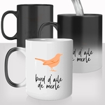 mug-magique-personnalisé-tasse-thermo-reactif-thermique-bordel-de-merde-bord-d'aile-de-merle-cool-humour-fun-oiseau-cadeau