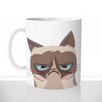mug classique en céramique 11oz personnalisé personnalisable photo animal chat grognon pas content chaton offrir cadeau chou