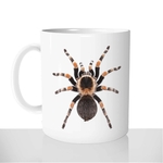 mug-blanc-brillant-personnalisé-animal-insecte-araignée-tarentule-peur-phobie-drole-idée-cadeau-original