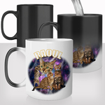 mug-magique-tasse-thermoréactive-chat-animal-de-compagnie-photos-personnalisée-galaxie-tonnerre-ciel-nuages-prenom-idée-cadeau-de-noel