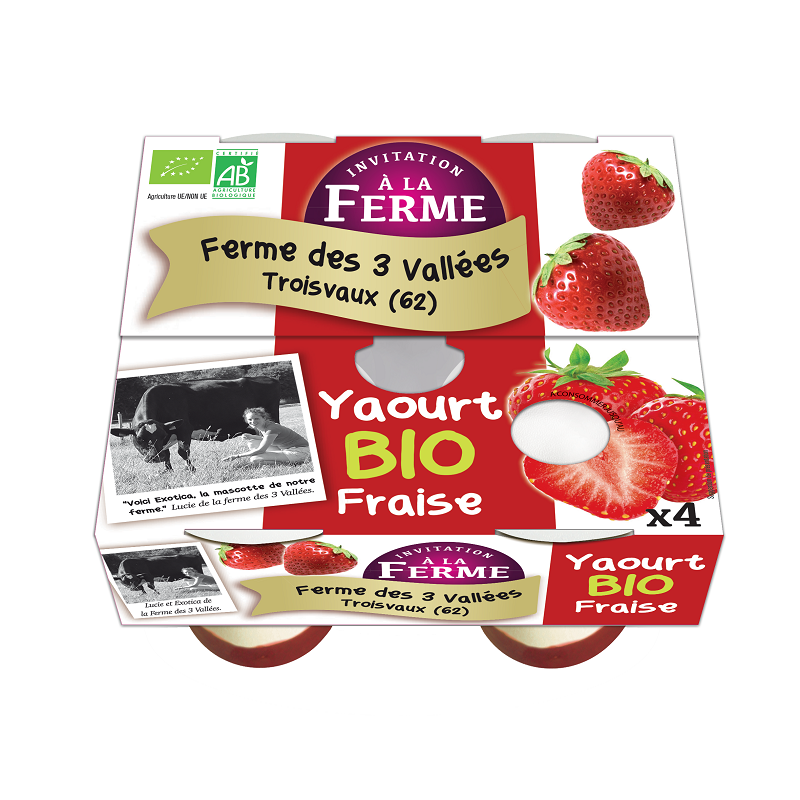 FD3V fraise
