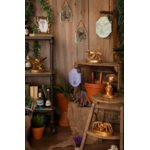 Screenshot 2026-06-11 12.54.01