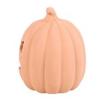 PU_60923,1