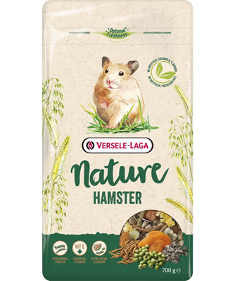 Hamster nature orchies graines