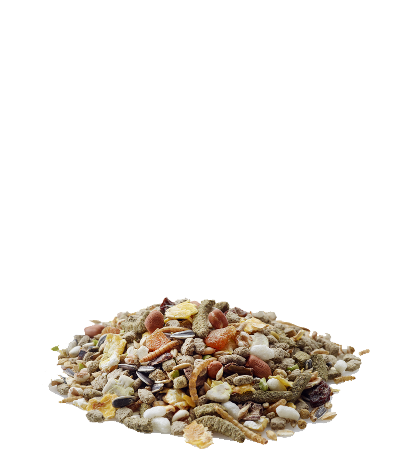 mix alimentation hamster orchies