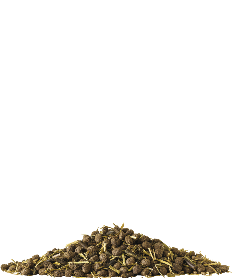 grain chevaux fiberforce orchies