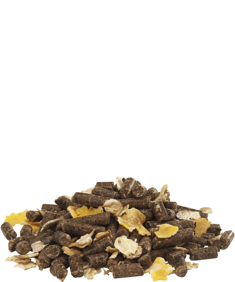 alimentation caprin orchies chevre lama alpaga cerf