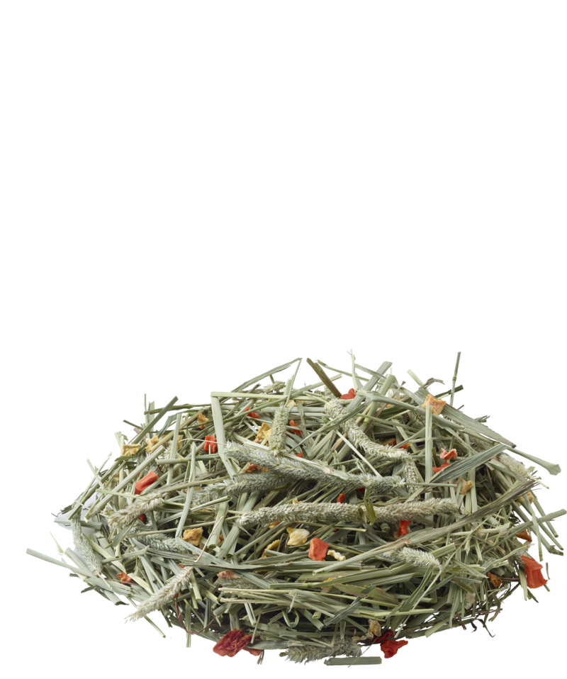 foin timthy carotte citrouille orchies