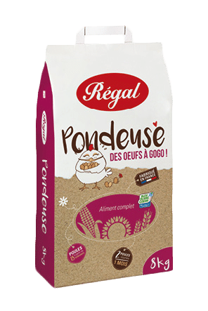 regal pondeuse poule orchies