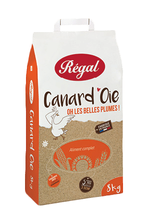 regal canard oie orchies