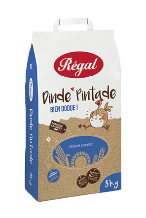 regal dinde pintade orchies