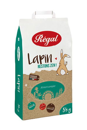 regal lapin orchies