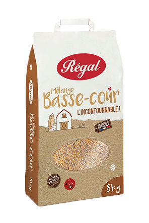 regal melange basse court orchies