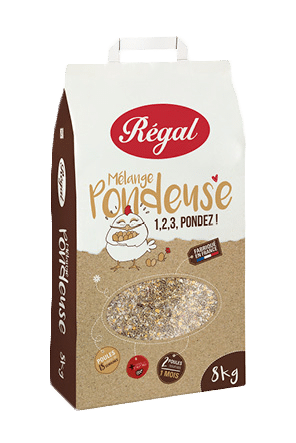 regal melange pondeuse orchies