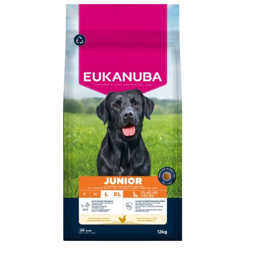 Eukanuba junior chien orchies