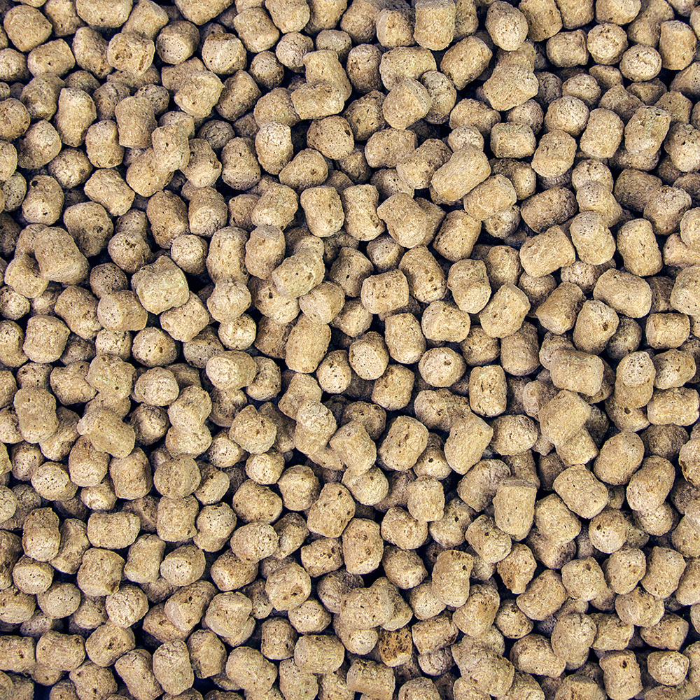 sera_Pond_Sticks_Energy_Plus_Nature_Orchies