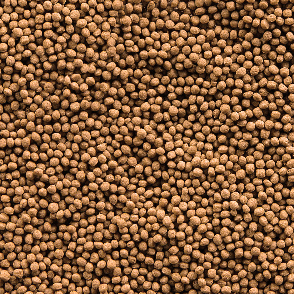 aliment poisson rouge orchies sera_Goldy_Granules