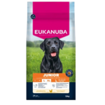Eukanuba junior chien orchies