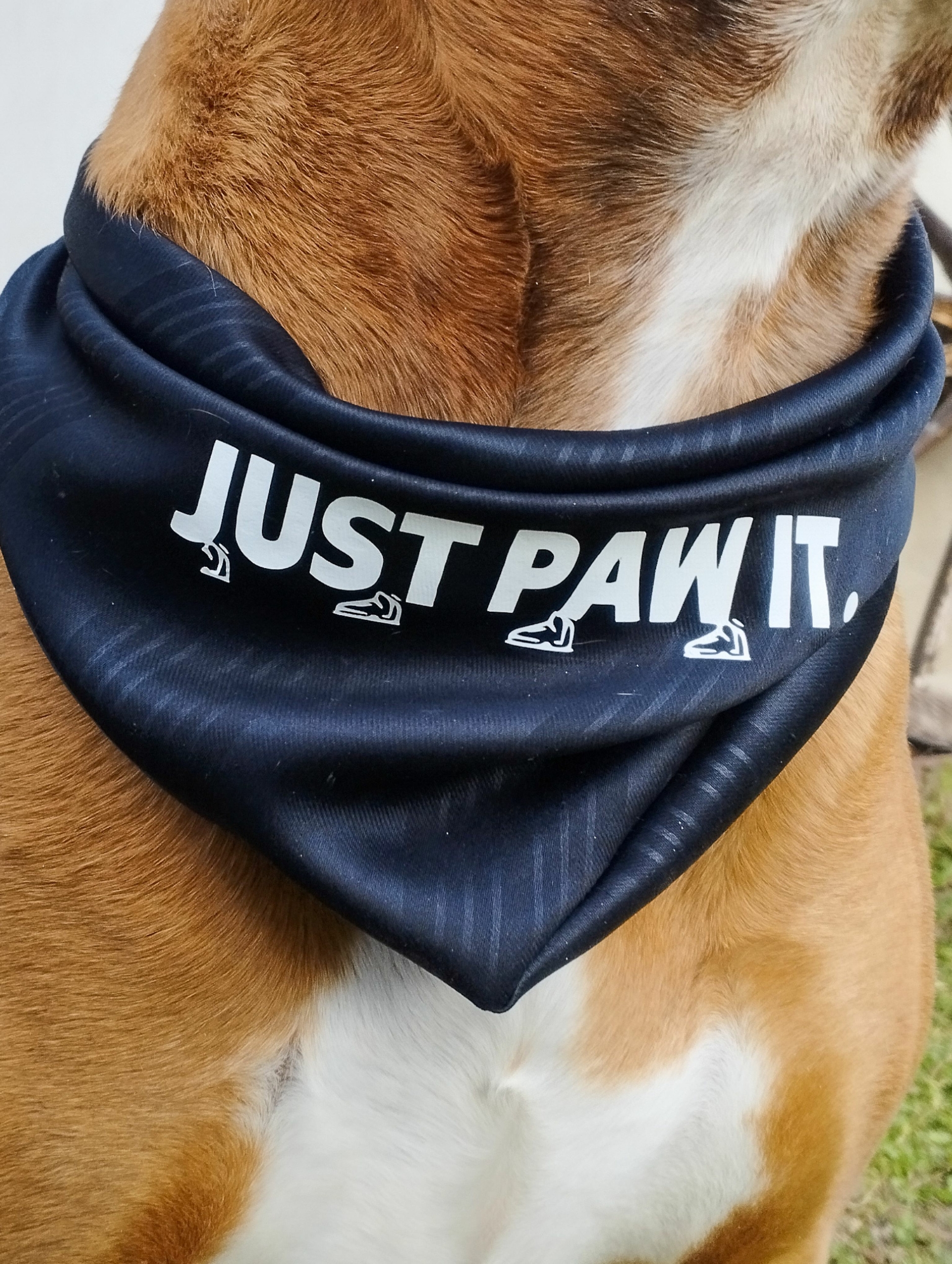 bandana noir pour chien