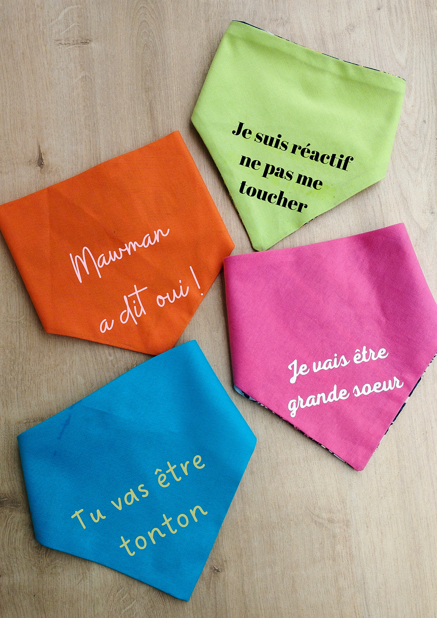 bandana pour chien annonce