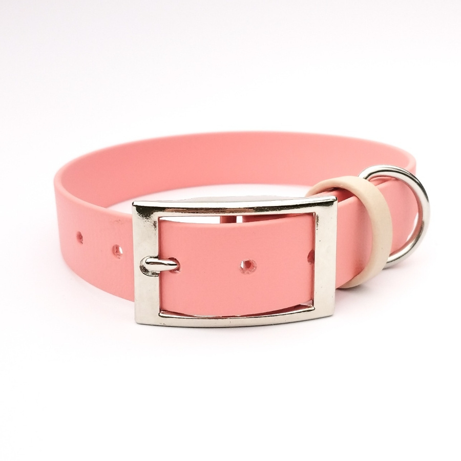 COLLIER CHIEN PECHE