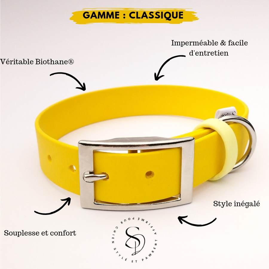 COLLIER CHIEN BANANE