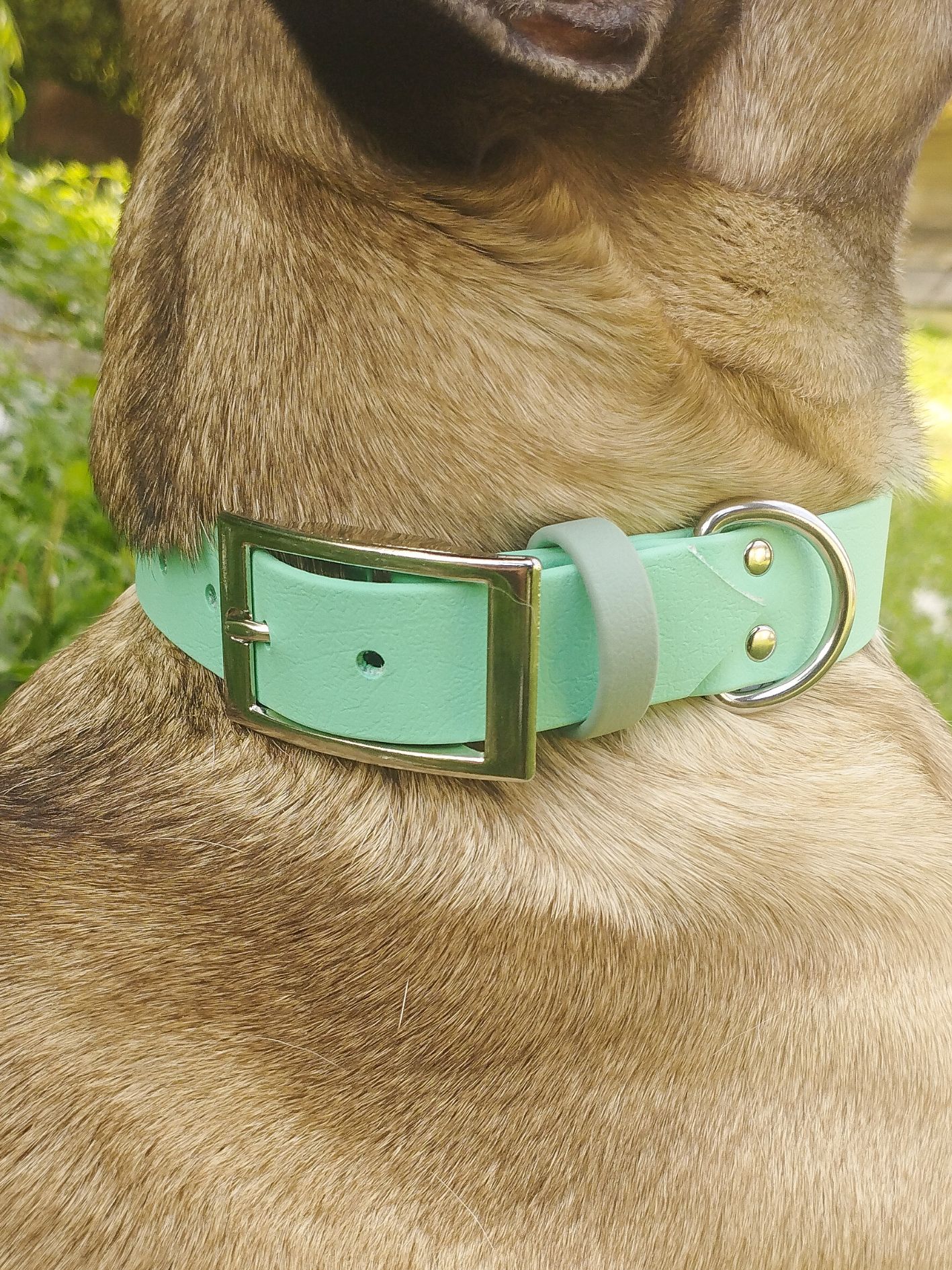 COLLIER CHIEN MENTHE