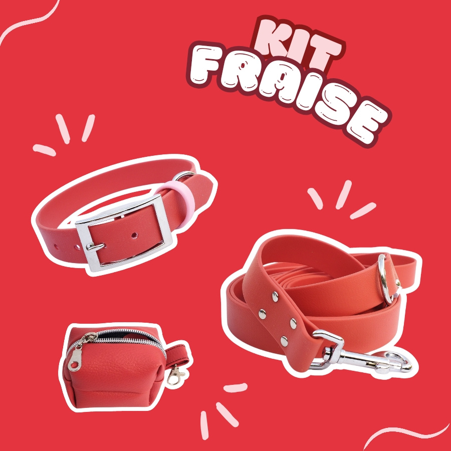 KIT FRAISE