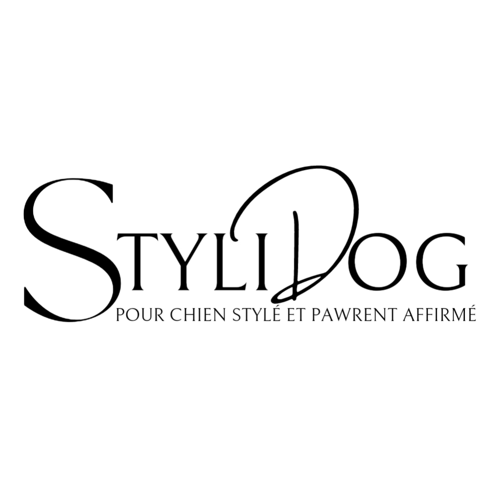 stylidog, accessoires confortables et responsables pour chien