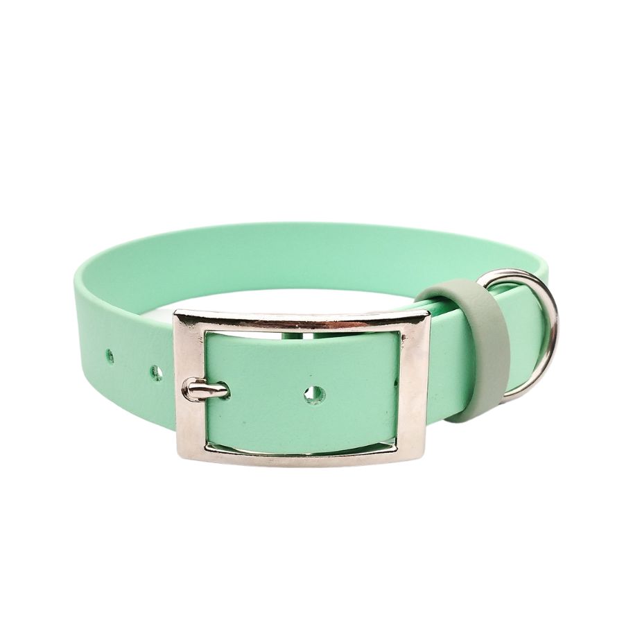 collier pour chien menthe