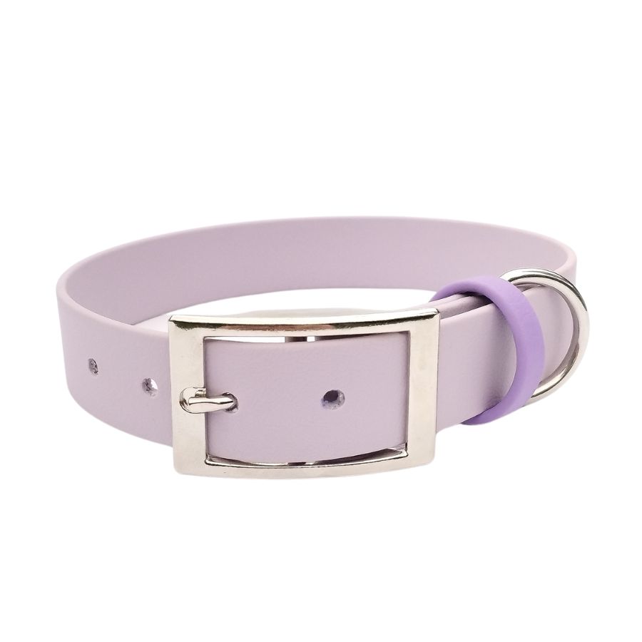 collier pour chien lilas