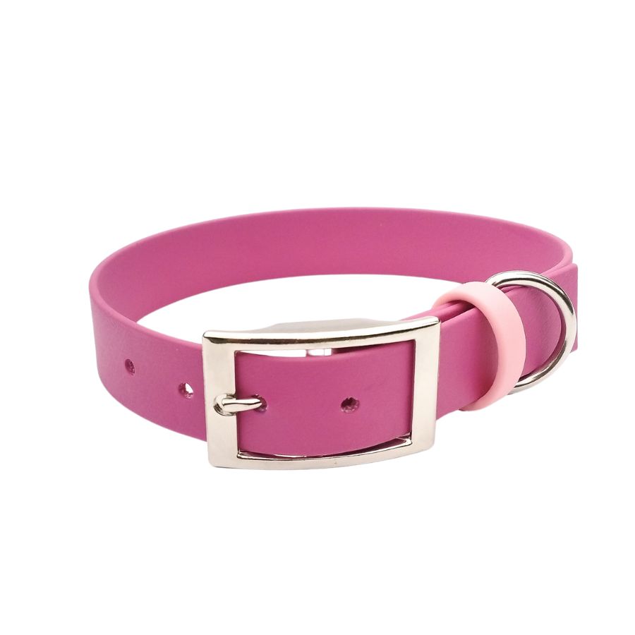 collier pour chien framboise