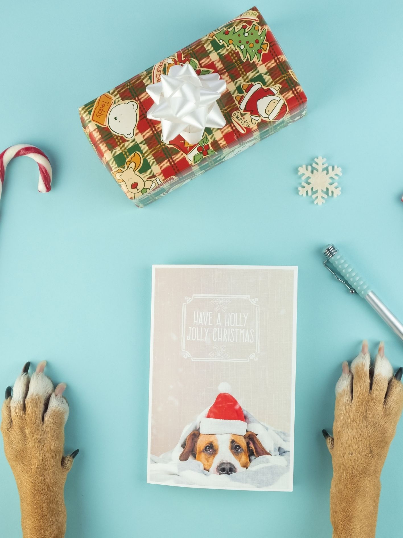 cadeau de noel pour chien